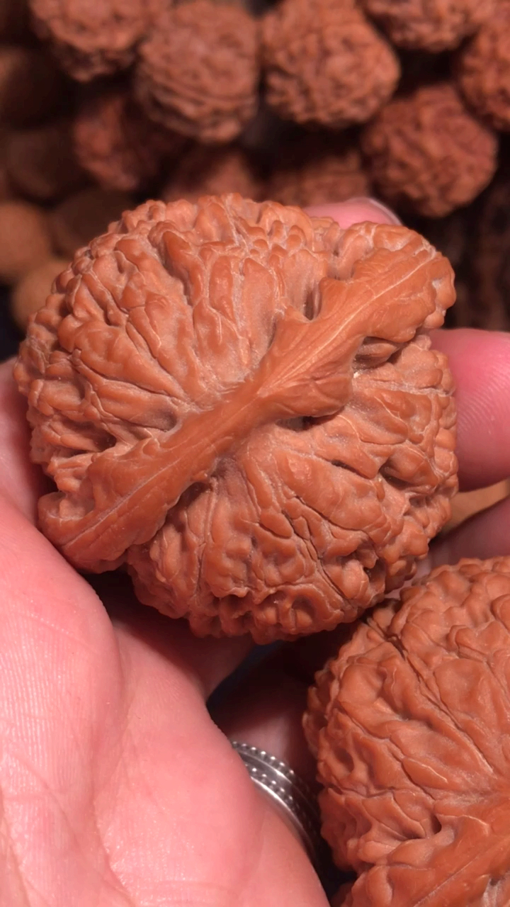 文玩核桃,45水龙纹狮子头