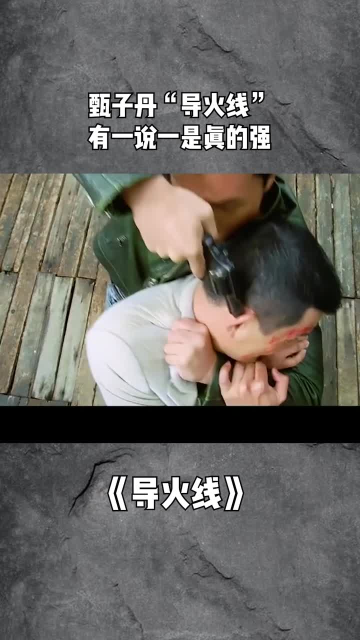 甄子丹"导火线"有一说一是真的强!