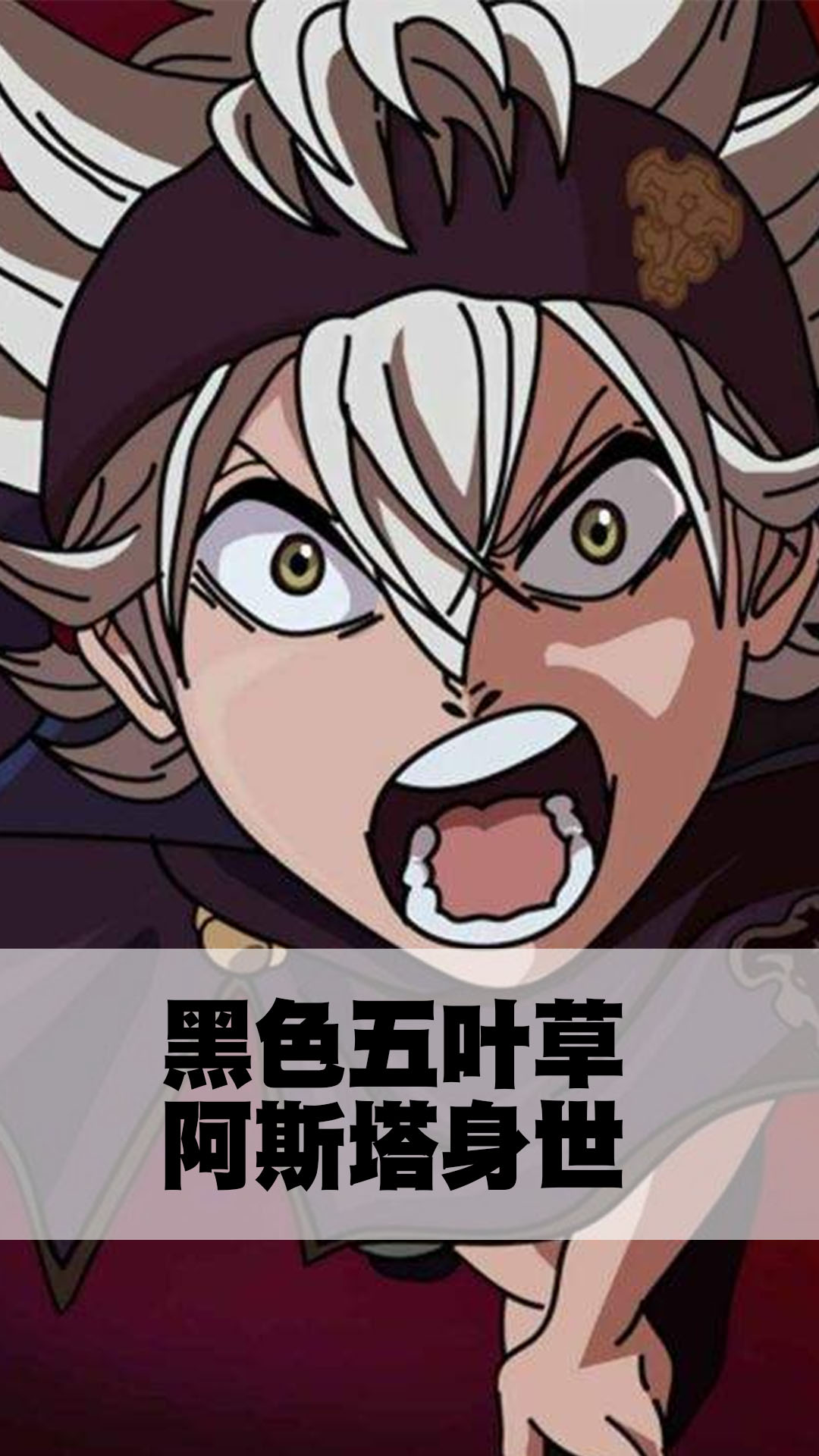 黑色五叶草阿斯塔身世