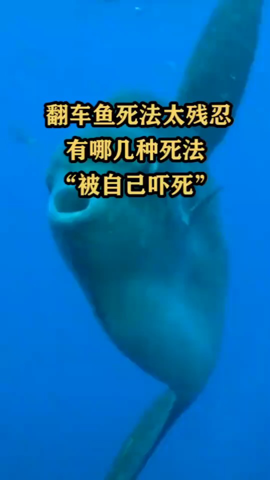 翻车鱼死法太残忍有哪几种死法被自己吓死
