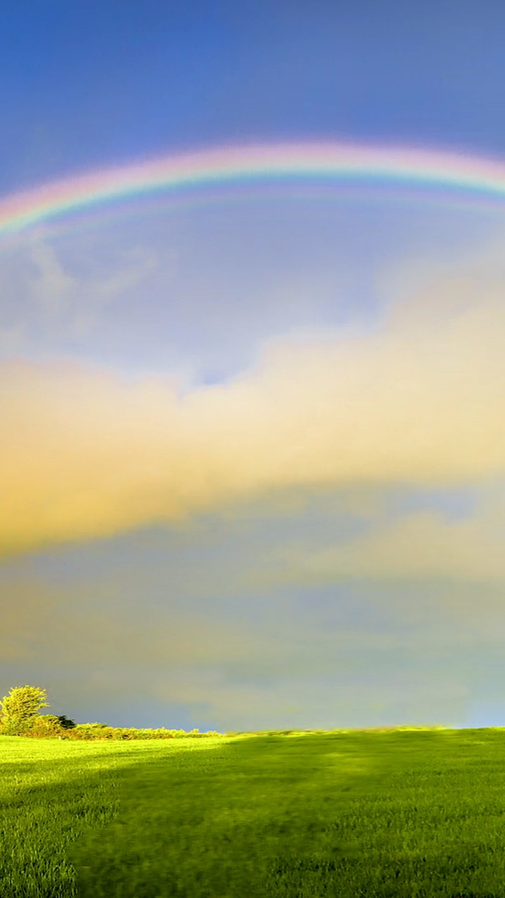 最美的风景#说看见双彩虹的人会很幸运,所以要把幸运分享给爱的人