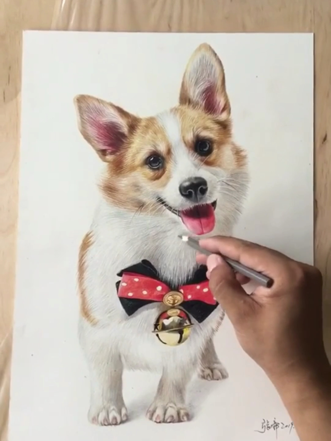 手绘教程#彩铅手绘柯基犬