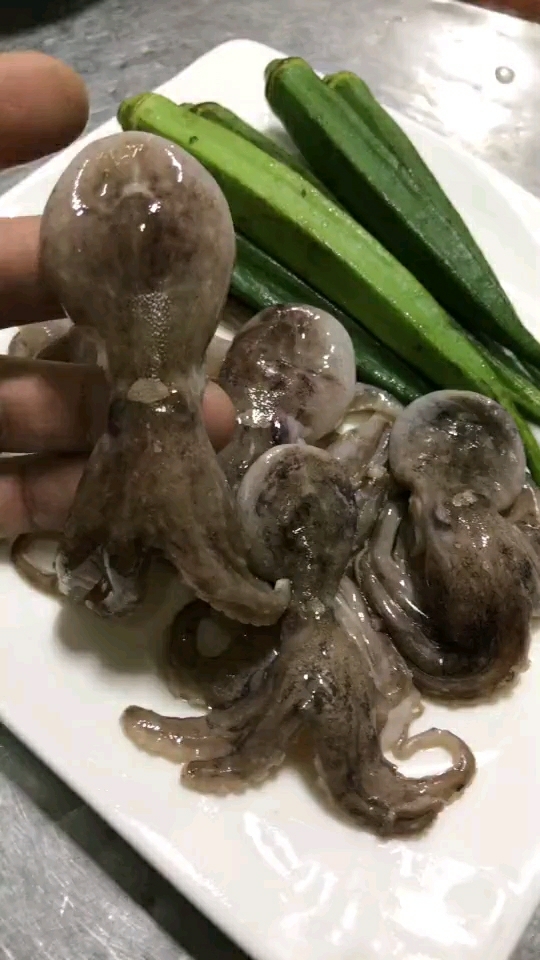 八爪鱼,烧秋葵,嘎嘎好吃