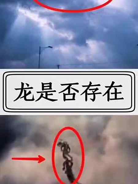 你认为龙真的存在吗未解之谜龙坐着高铁看中国