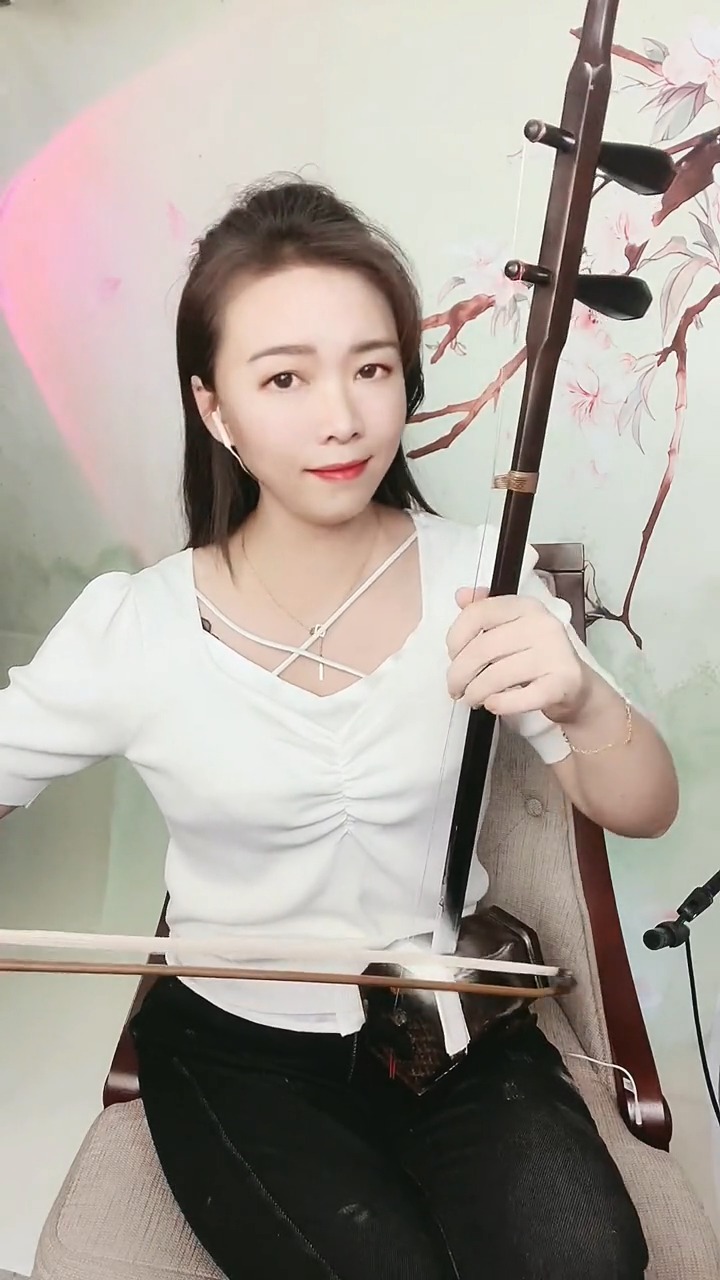 古典中国风国风民乐艺术欣赏二胡独奏一壶老酒传承弘扬民乐文化