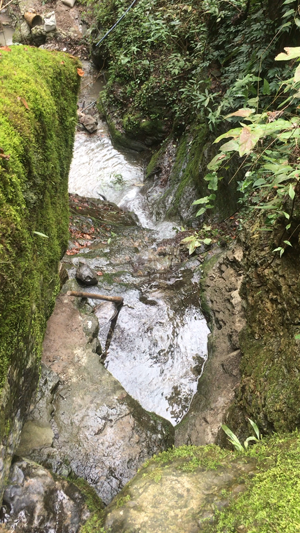 寻找水源.天然山泉水