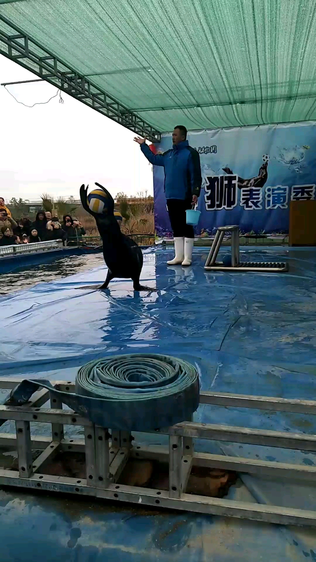 椒江动物园欢迎你们.