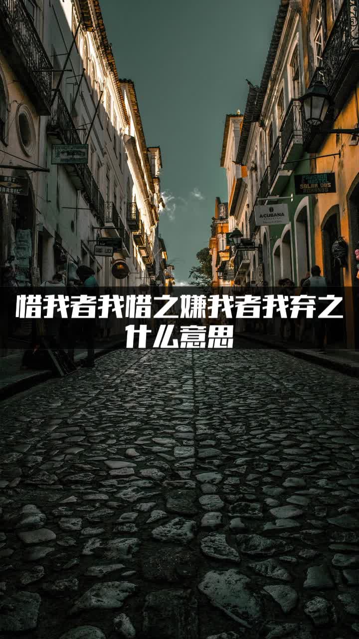 惜我者我惜之嫌我者我弃之什么意思