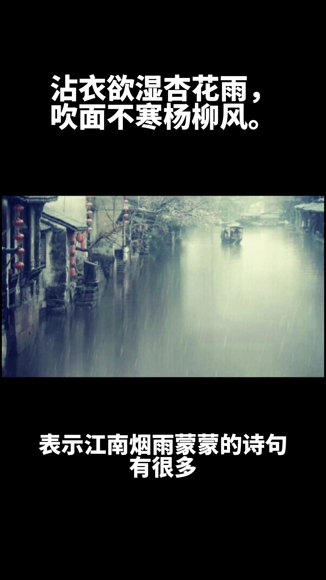 沾衣欲湿杏花雨,吹面不寒杨柳风.
