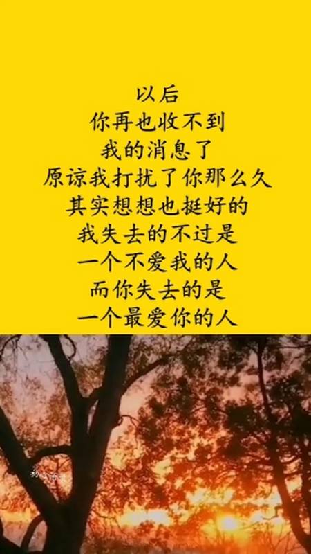 情感故事#失去最爱痛彻心扉!