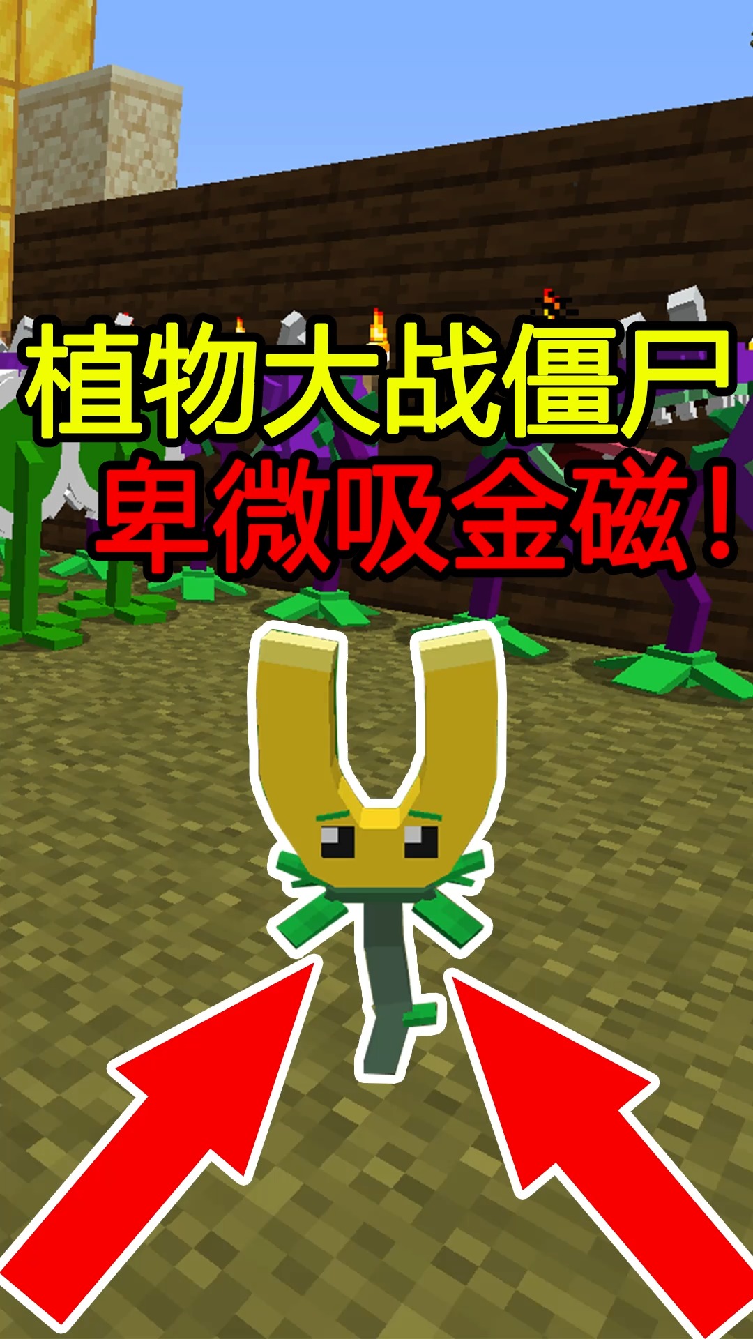 我的世界植物大战僵尸卑微吸金磁