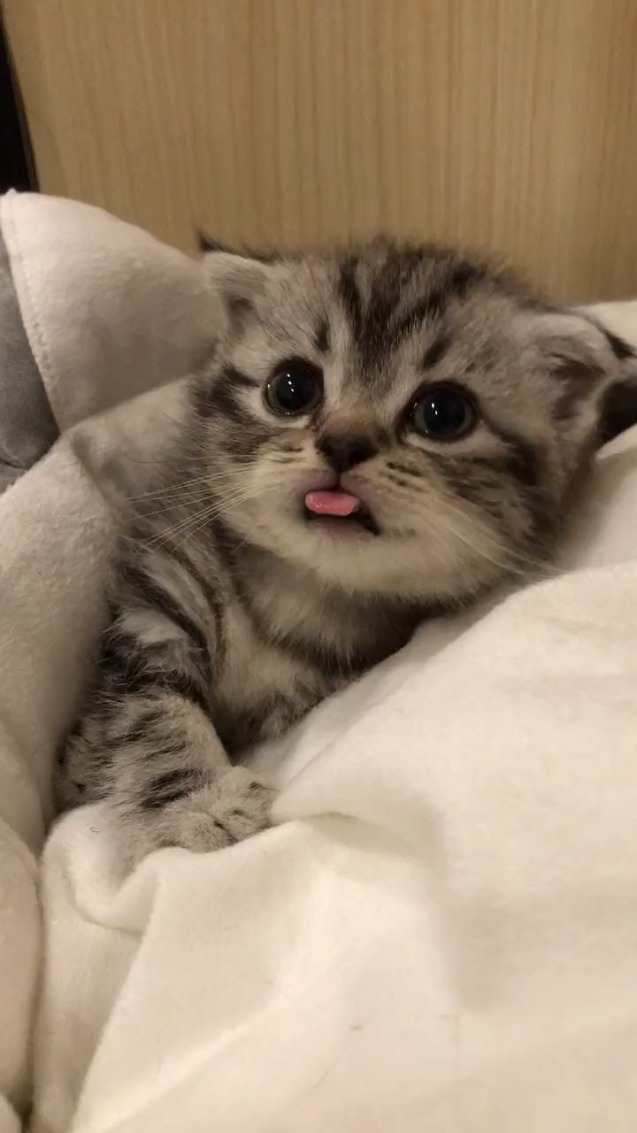 刚睡醒的样子好可爱呀