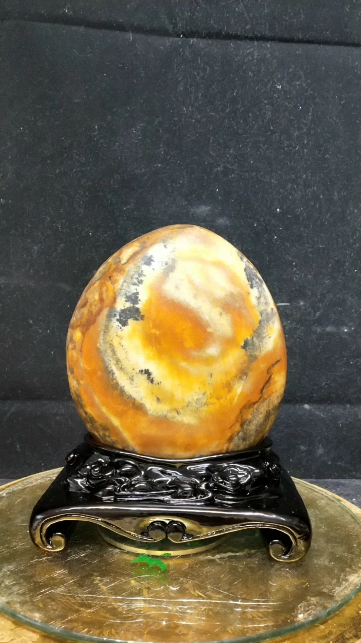 精品 长江碳化石