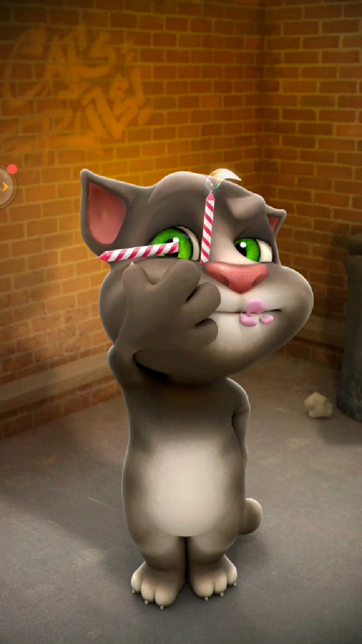 今天是汉克狗的生日