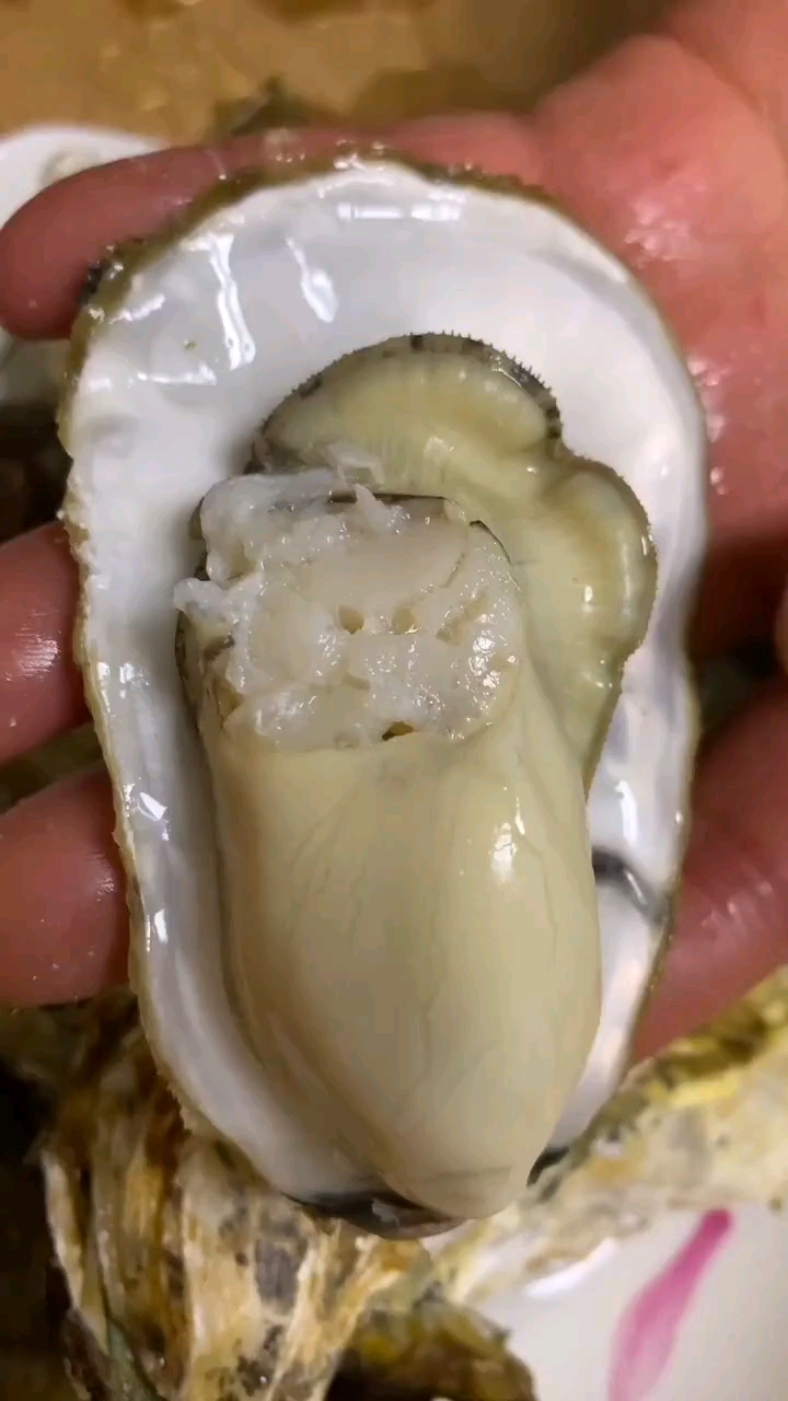 生蚝的内脏可以吃吗?这有答案呦!-度小视