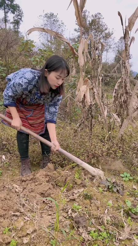 面朝黄土背朝天,勤做细耕苦种田.日盼夜思天相助,丰田盈满谷仓间.
