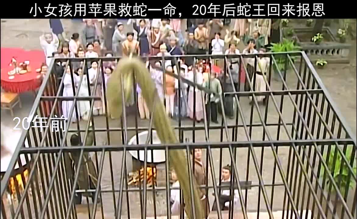 小女孩善心救下一条蛇20年后在小女孩危险时刻巨蟒救下她来报恩好人有