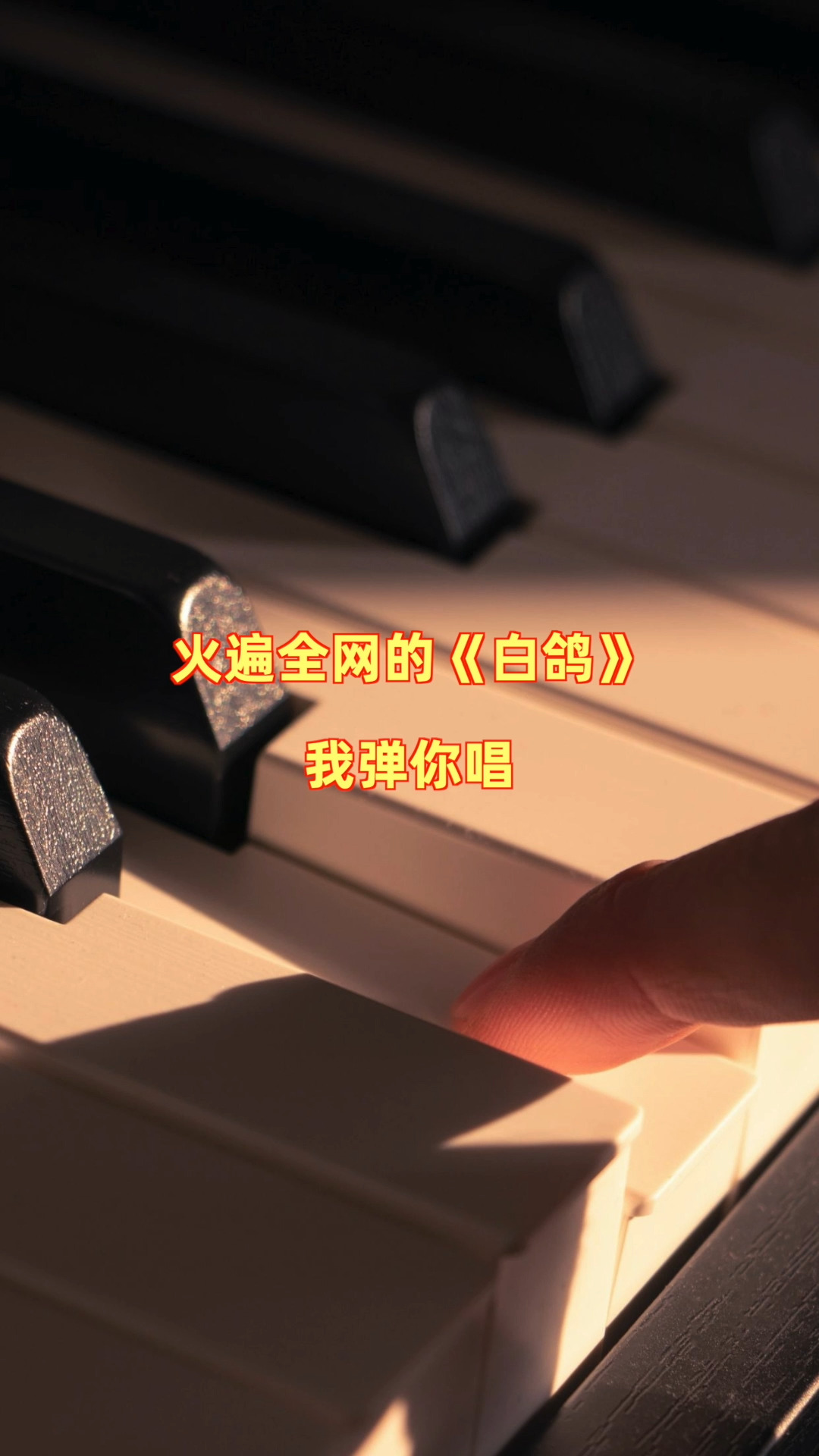 钢琴弹唱#《白鸽》我弹你唱:教堂的白鸽不会亲吻乌鸦