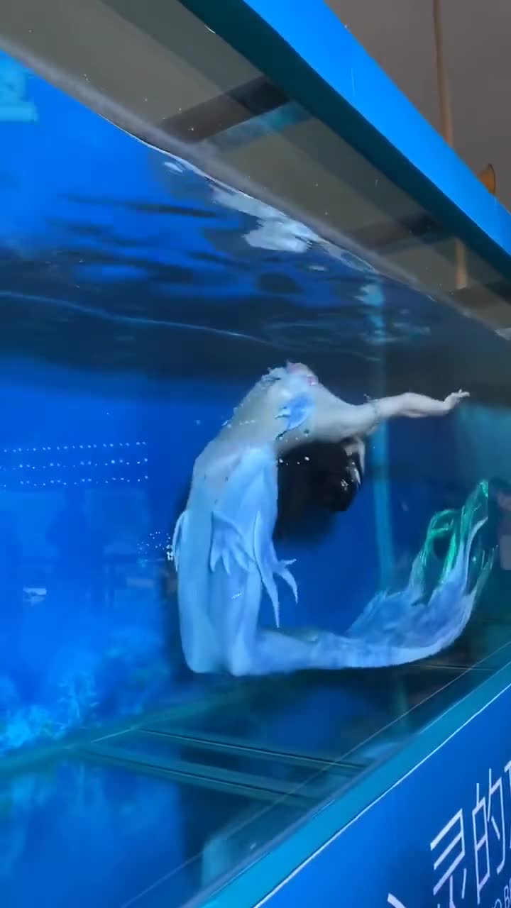 现实版的美人鱼,实在太美了!