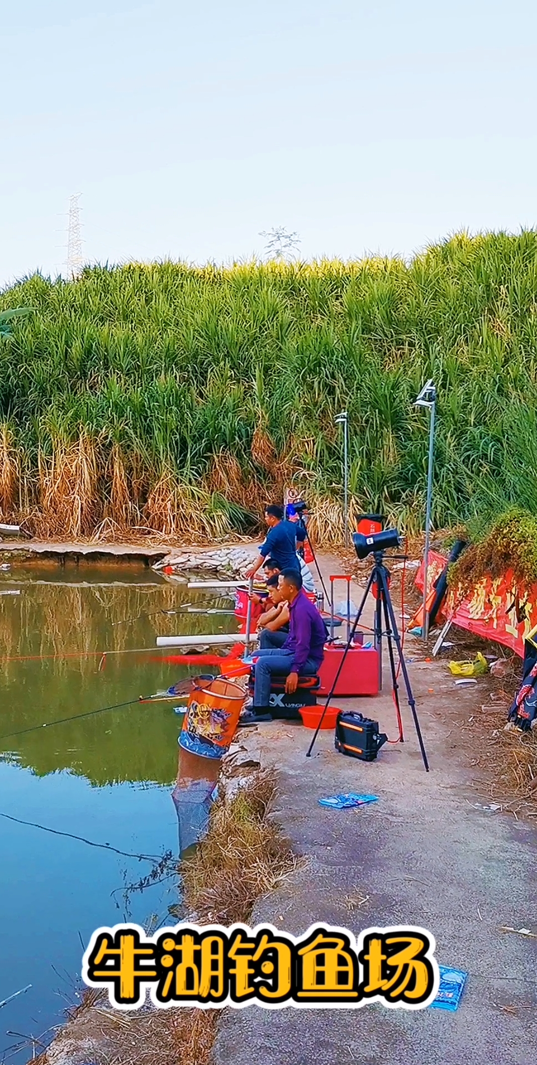 钓鱼人#深圳牛湖钓鱼场,鱼塘很小,钓鱼的人却很多,真有那么多鱼钓吗?
