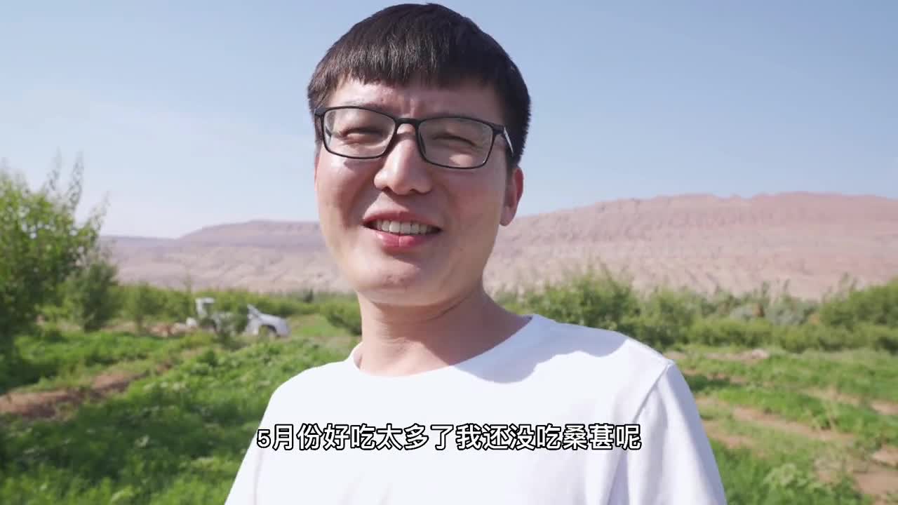 新疆#新疆瓜果飘香季,鸡蛋大的杏子20元公斤,酸酸甜甜淡嘴哥连吃带拿