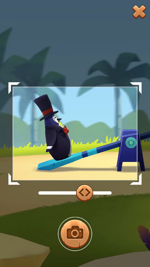 发现企鹅先森 好惊喜