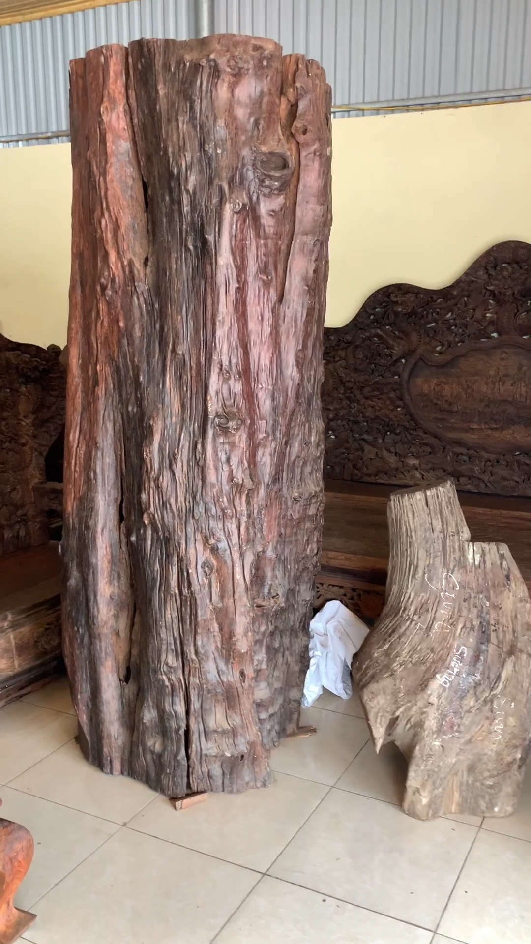 交趾黄檀原木,价值不菲