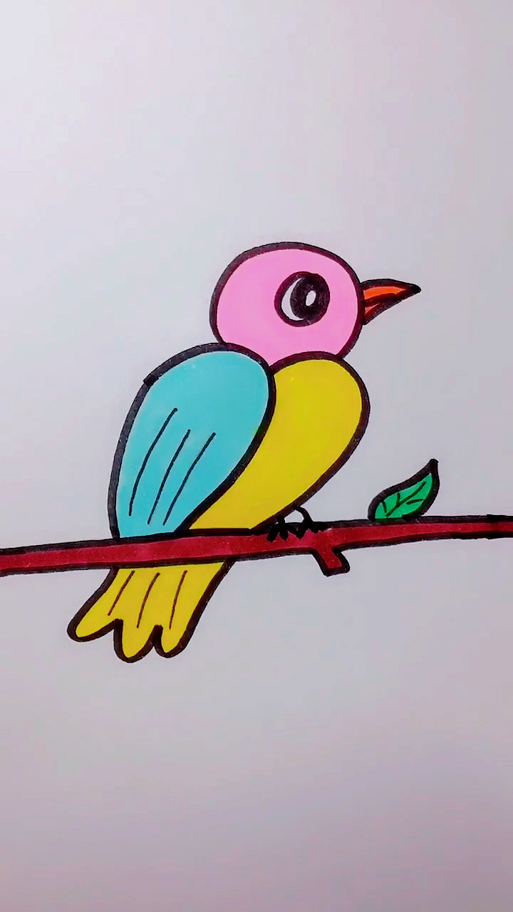 二年级画小鸟 图画图片