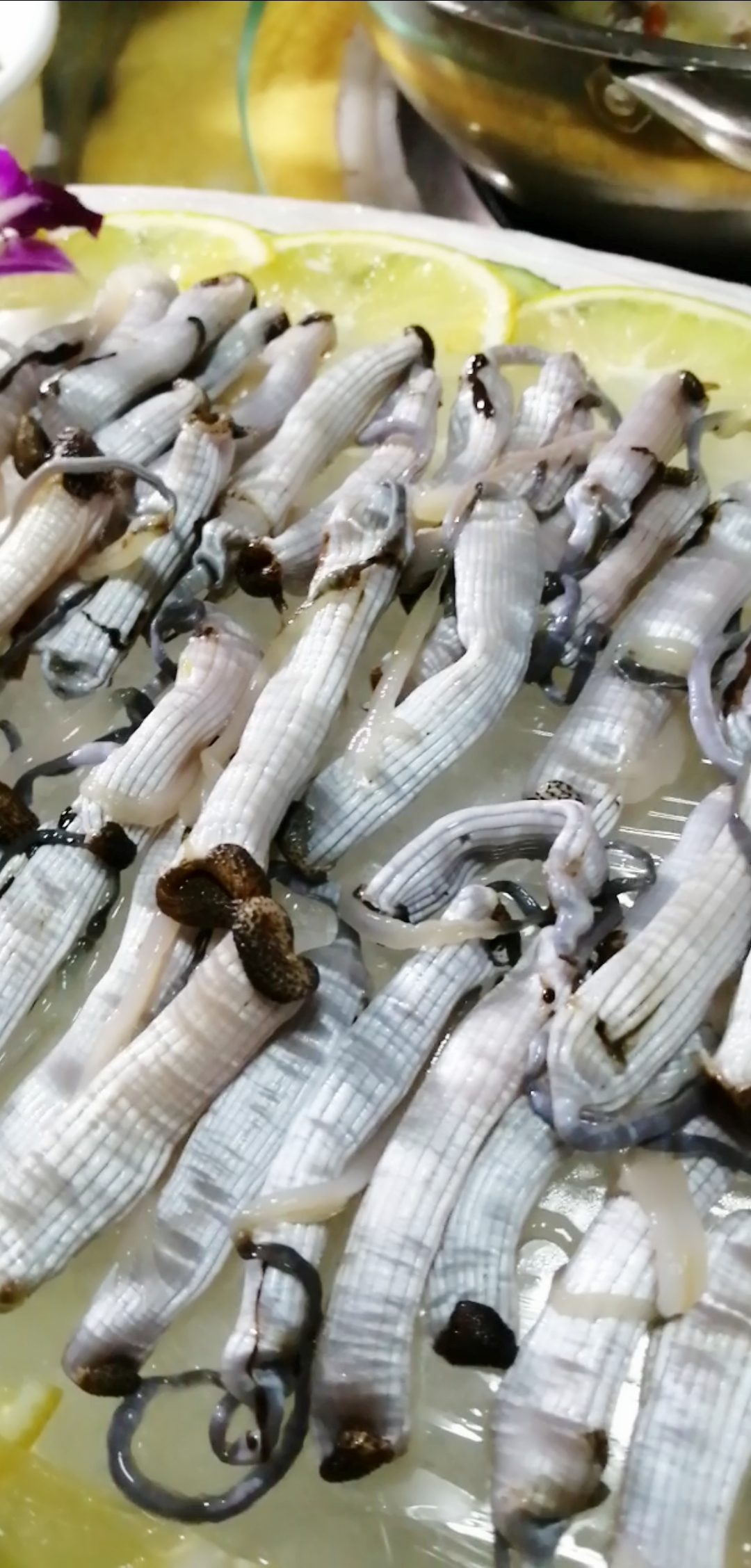 探店美食#泥丁不比沙虫差哦!