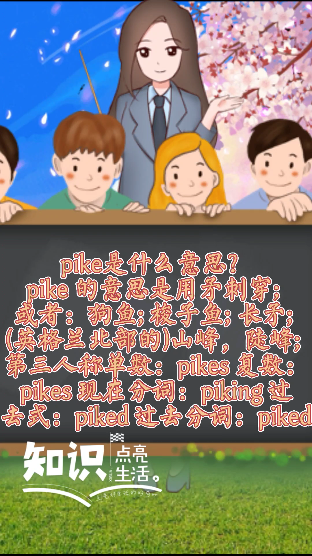 pike是什么意思?