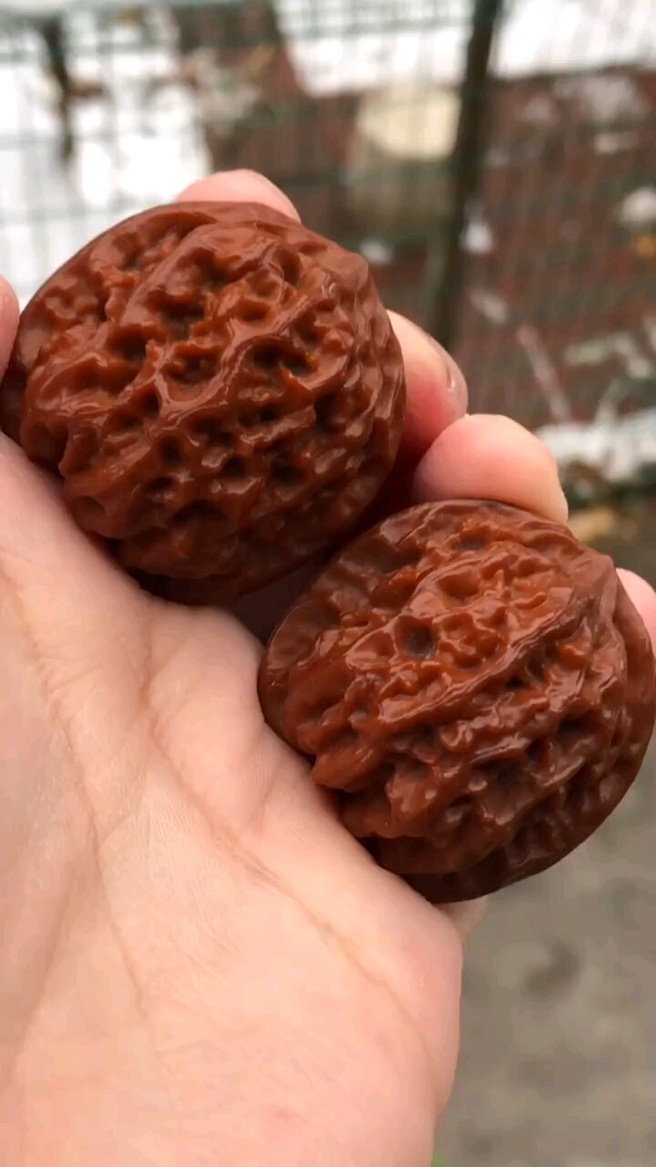 文玩核桃#野生磐石狮子头,分量打手,玛瑙红,非常不错的品种,野生小众