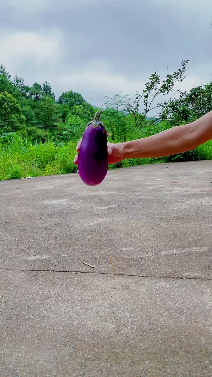 今天发现一个超大的茄子先拿来拍个创意照