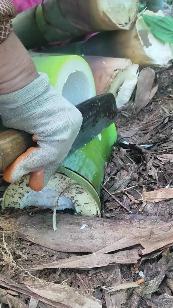 竹笋一半竹子一半笋,这种切法竹笋更脆,大部分吃过短短,有人吃过这种