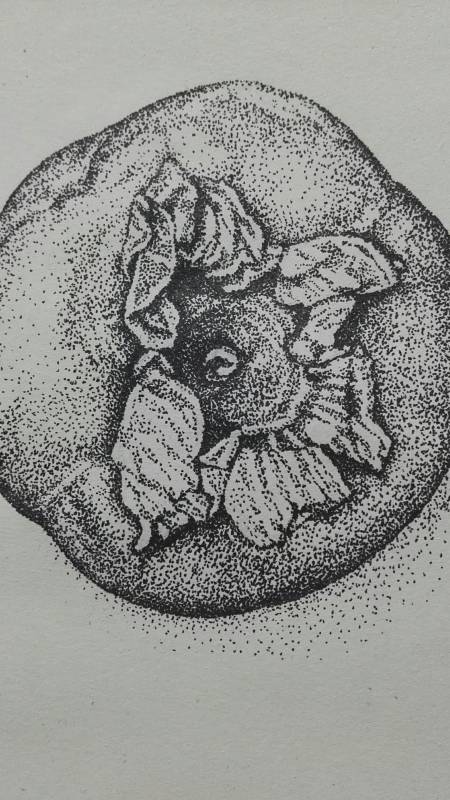 众志成城共抗疫情#水性笔素描点画《不像柿子的柿子》