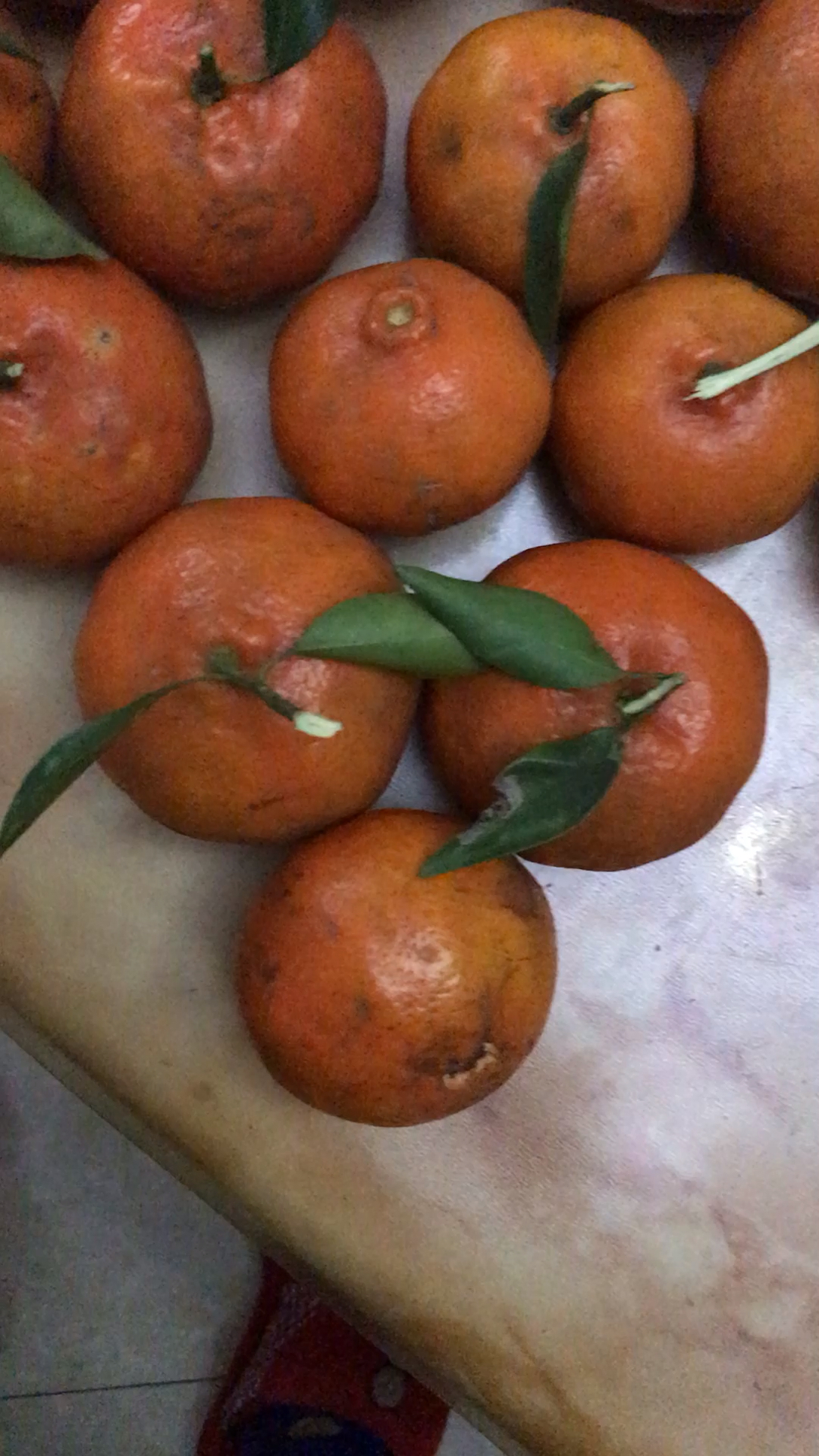 纯正四川的红袍柑儿,味道巴适得板