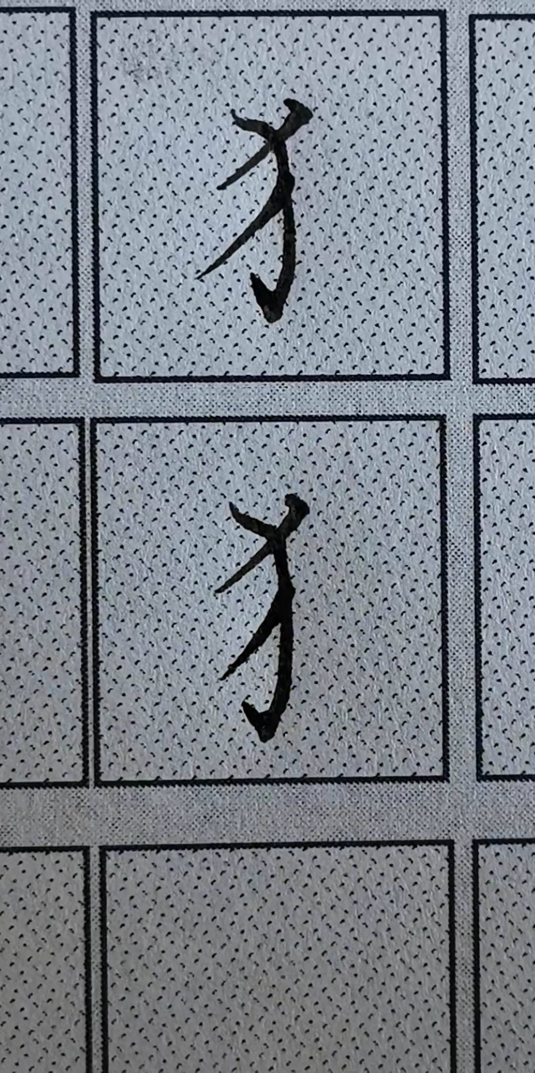 硬笔楷书#楷书偏旁部首大全"反犬旁"