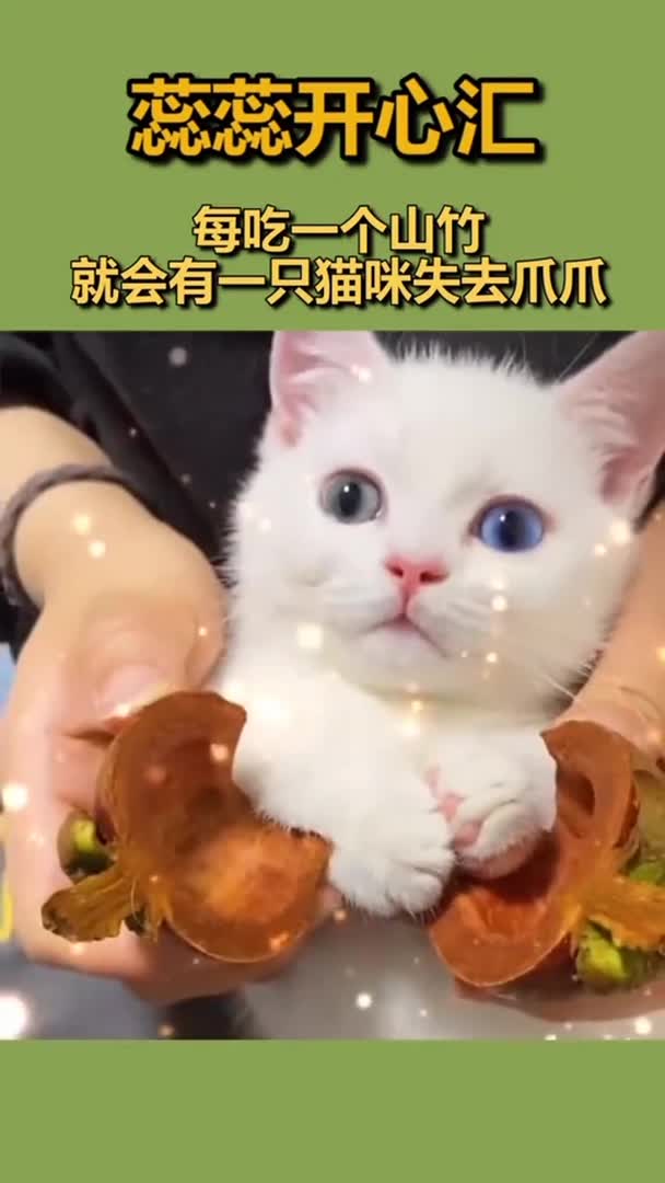 每吃一个山竹就会有一只猫猫失去爪爪