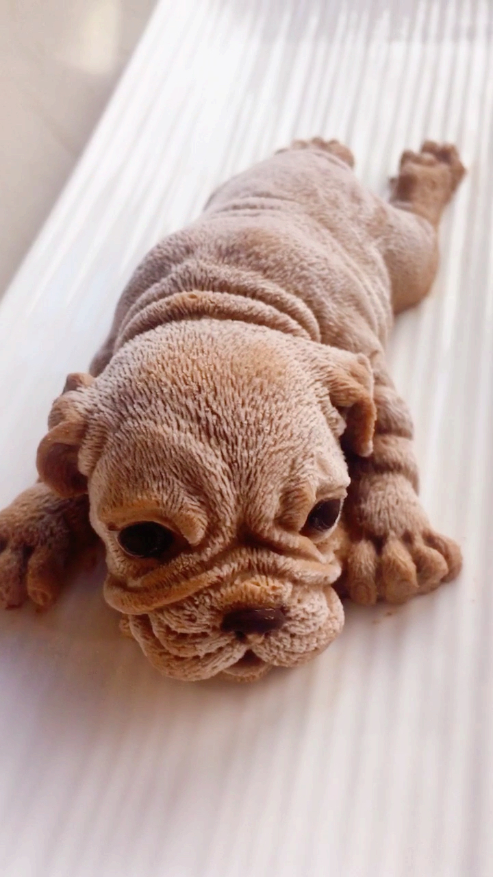 网红沙皮狗教程,一定要收藏,学会再也不用去蛋糕店买了,超级简单,太