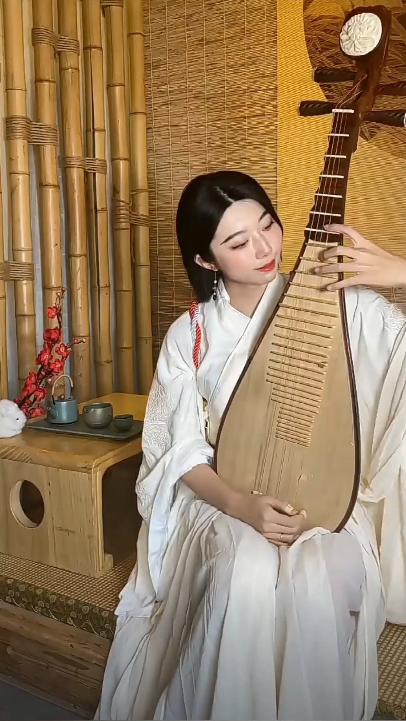 迷惑行为大赏汉服美女弹奏琵琶完美颜值及才艺令人心旷神怡