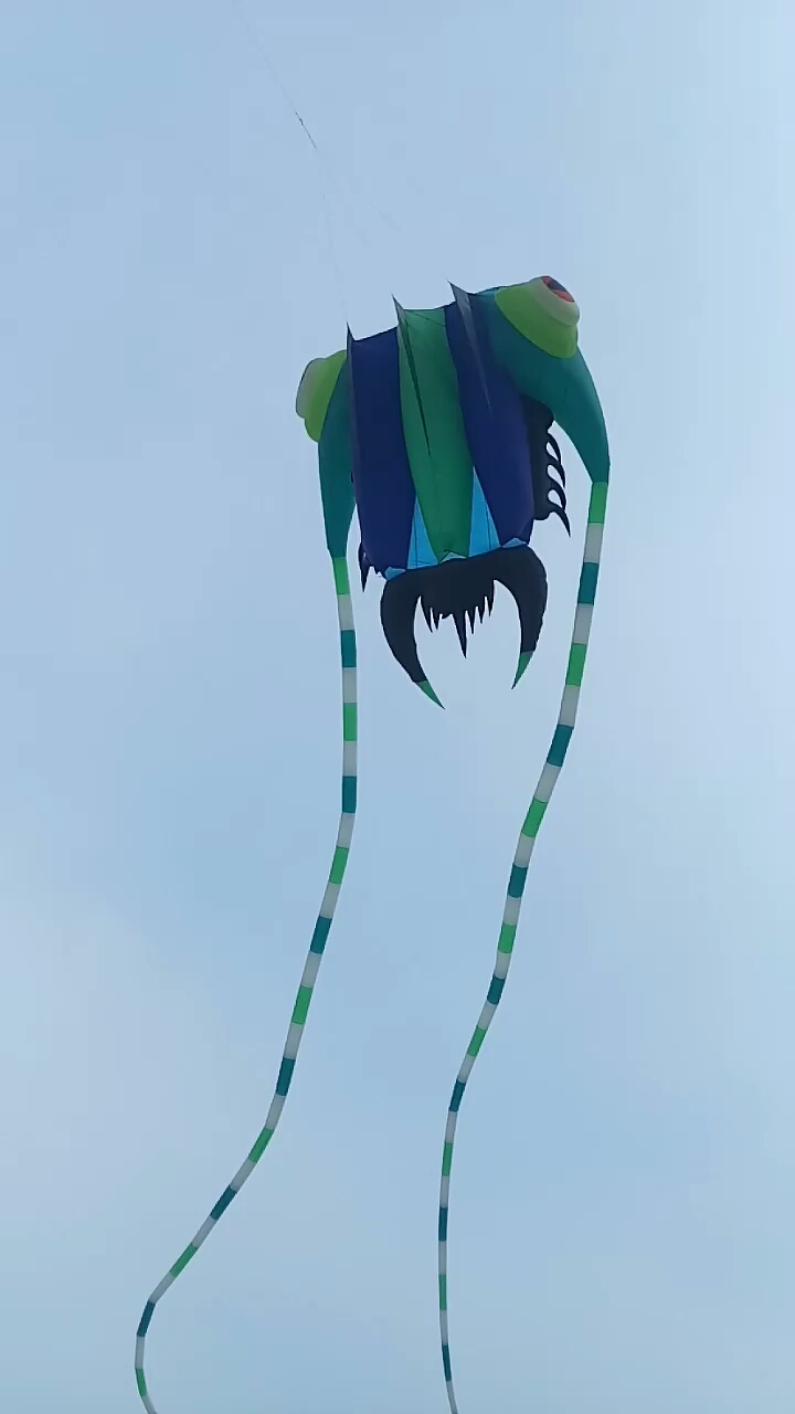 最美人间四月天#会游泳的鱿鱼风筝