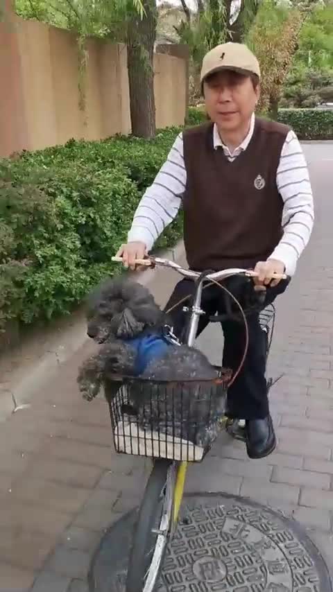 冯巩老师骑自行车带着狗狗去买菜