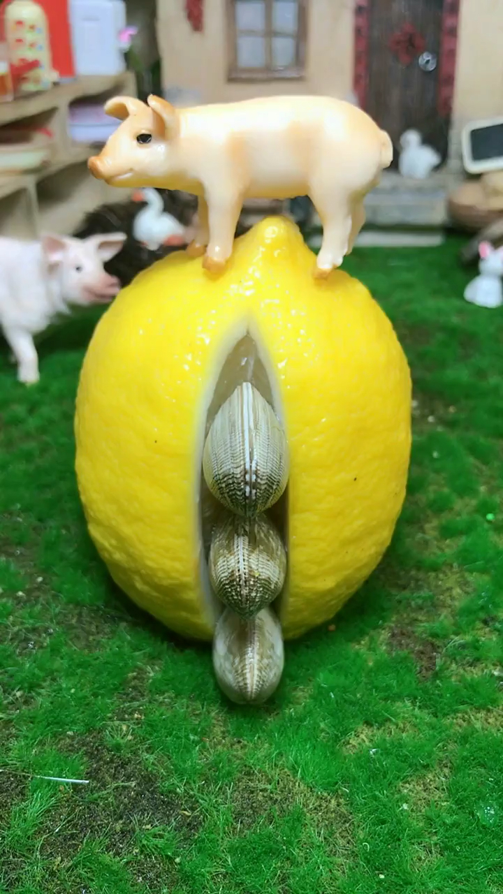 锡纸花甲铁板烧