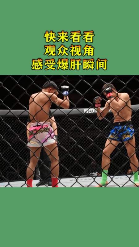 格斗#观众视角感受爆肝瞬间!