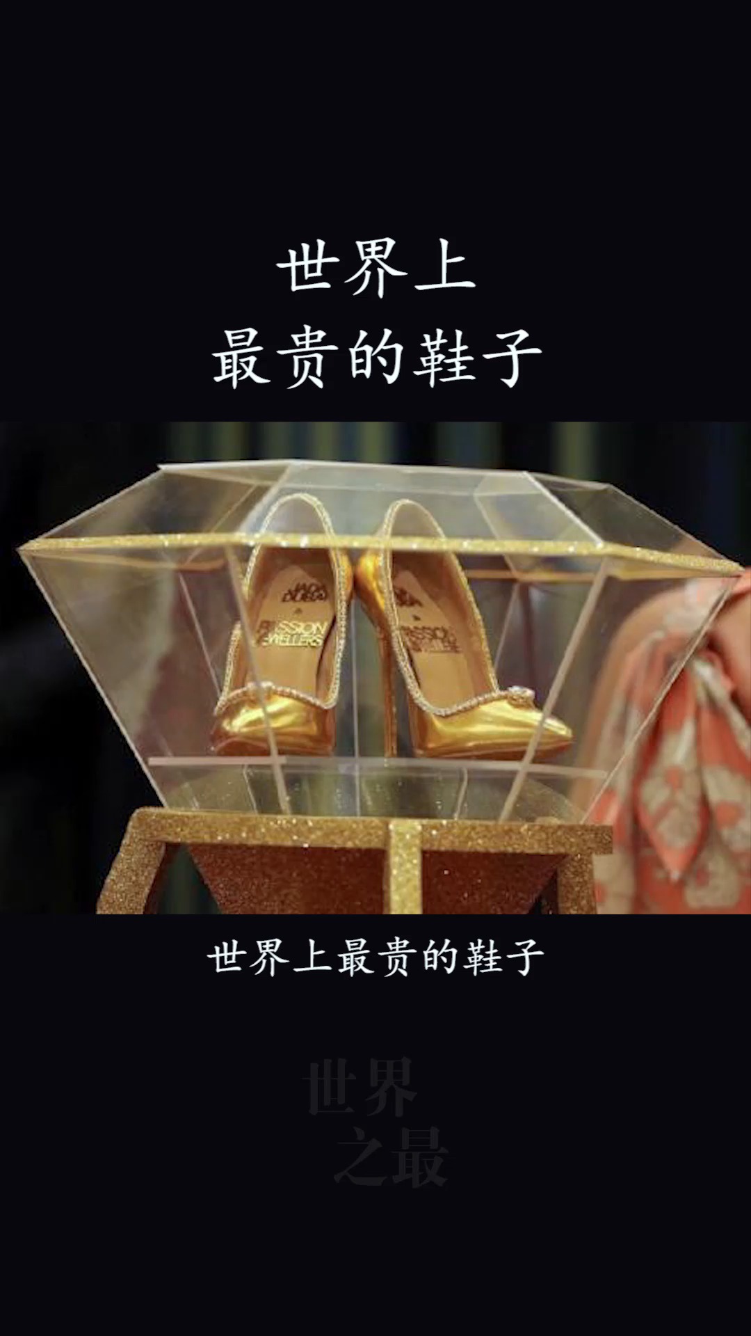 世界上最贵的鞋子价值12亿可量身定做
