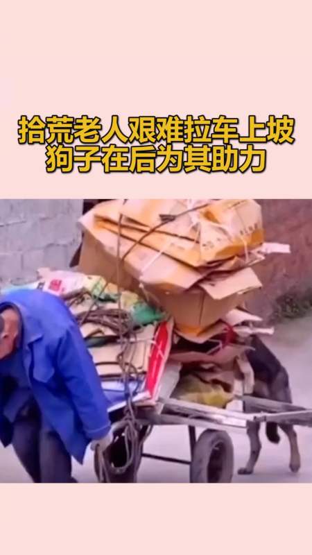 2021-07-17151搞笑团长小七9275粉丝  关注#王者荣耀热门#澜的刀法