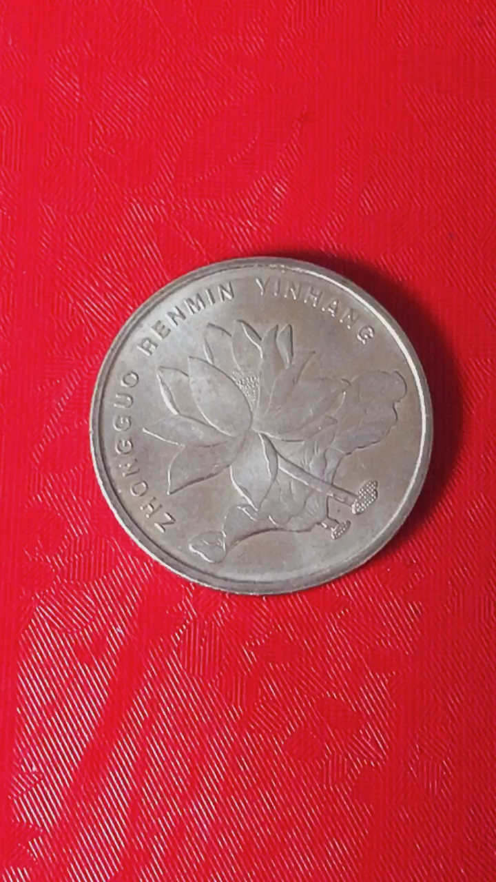 音为有你#荷花五角2015年的-全民小视频