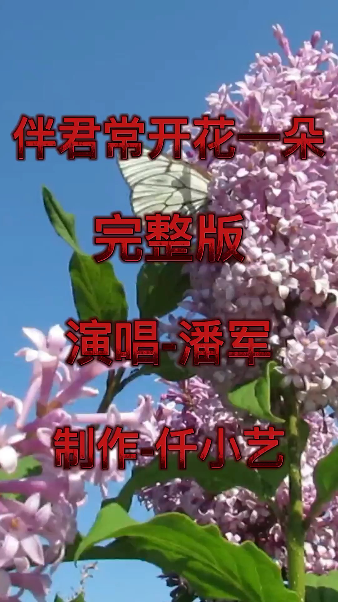 西游记插曲  伴君常开花一朵