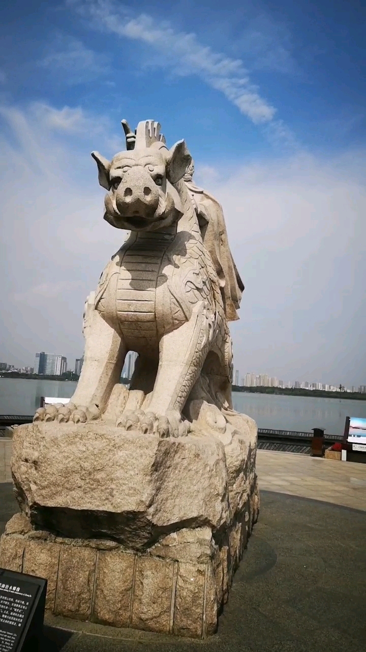 是猪还是龙?猪头龙身