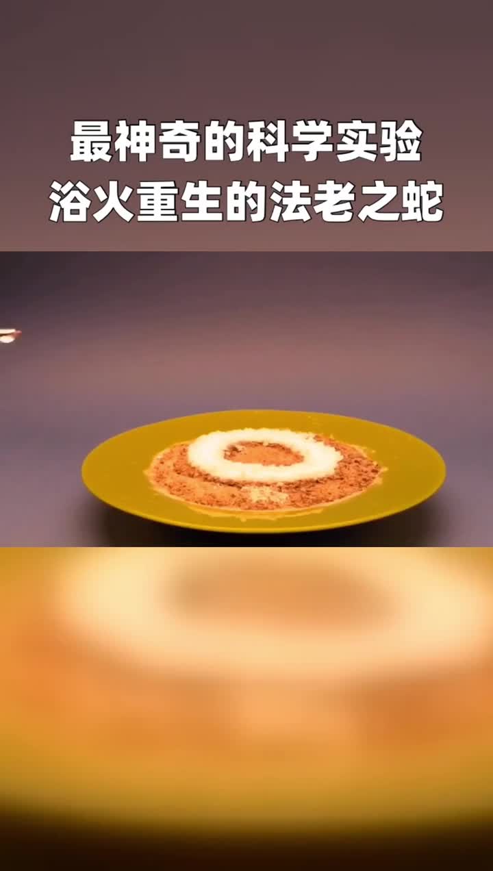 最神奇的科学实验,浴火重生的法老之蛇