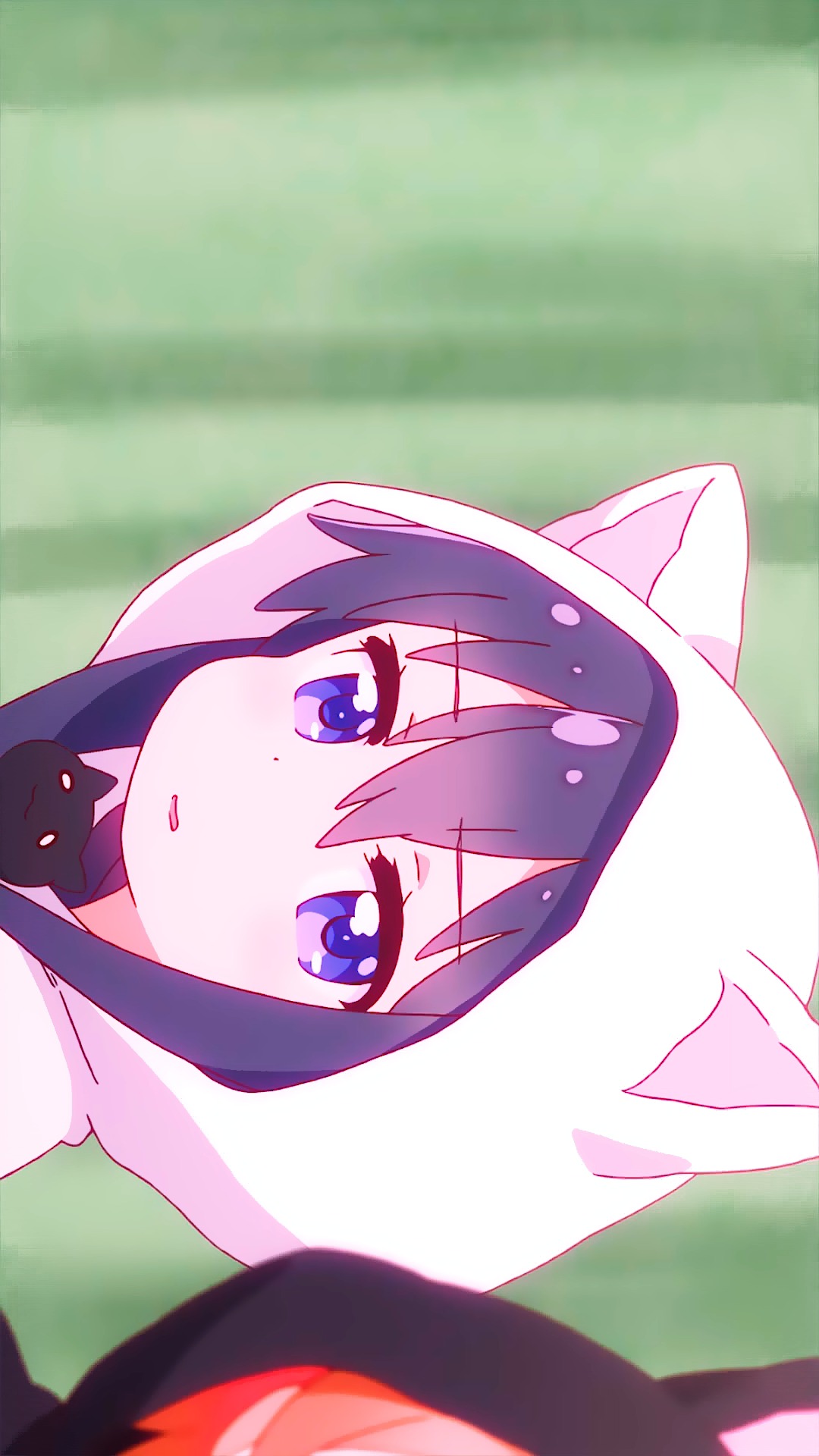 高清60帧#"喵内噶!